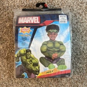 Marvel Hulk costume